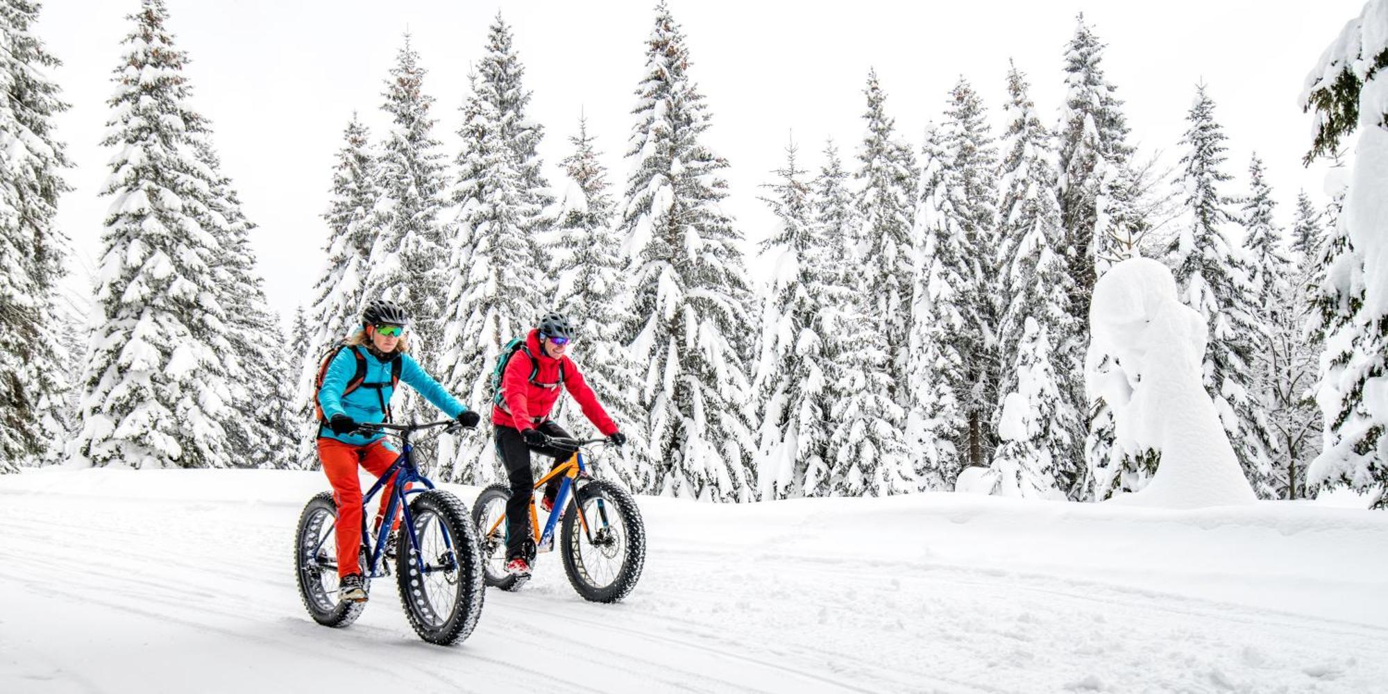 Talkeetna Aerie Adventure Lodge ภายนอก รูปภาพ